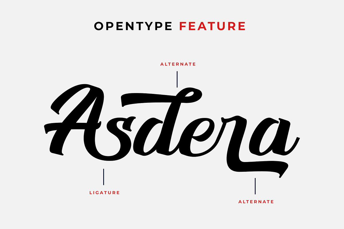 Andior Bold Script Font, a Script Font by RantautypeStudio (Photo 4 of 13)