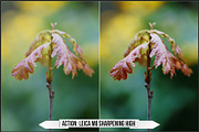 Leica Colors & Sensor Luminance, a Plug-in Add-On by Raztrend (Thumbnail 8 of 29)