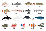 Sea animals set, an Object Graphic by ianakauri (Thumbnail 2 of 4)