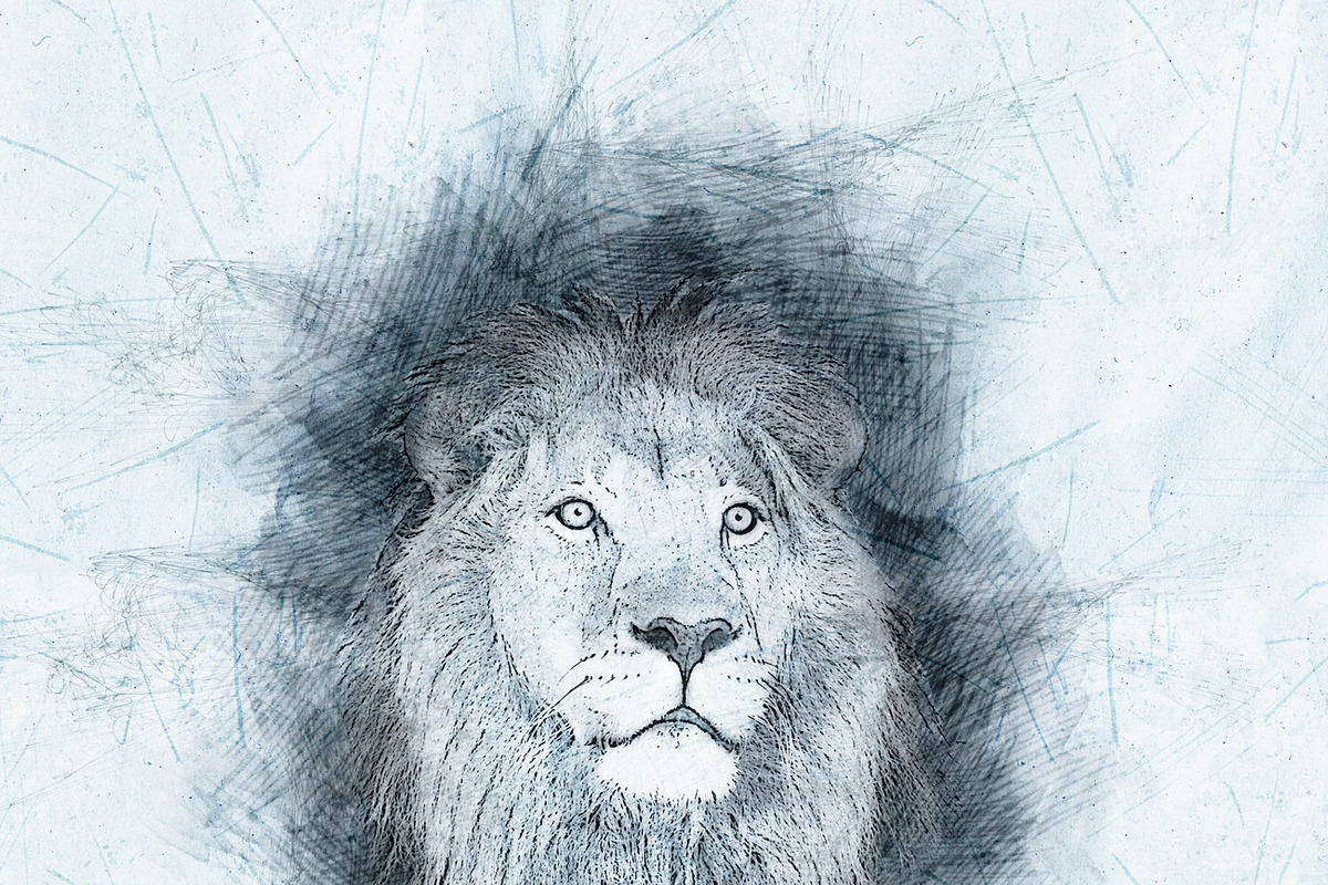 PRO SKETCH Photoshop Actions, an Action Add-On by MRI STUDIO (Photo 17 of 19)