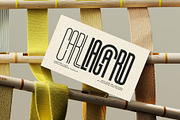 First Contact - 16 Fonts in One Pack, a Sans Serif Font by SilverStag Type Foundry (Thumbnail 14 of 30)