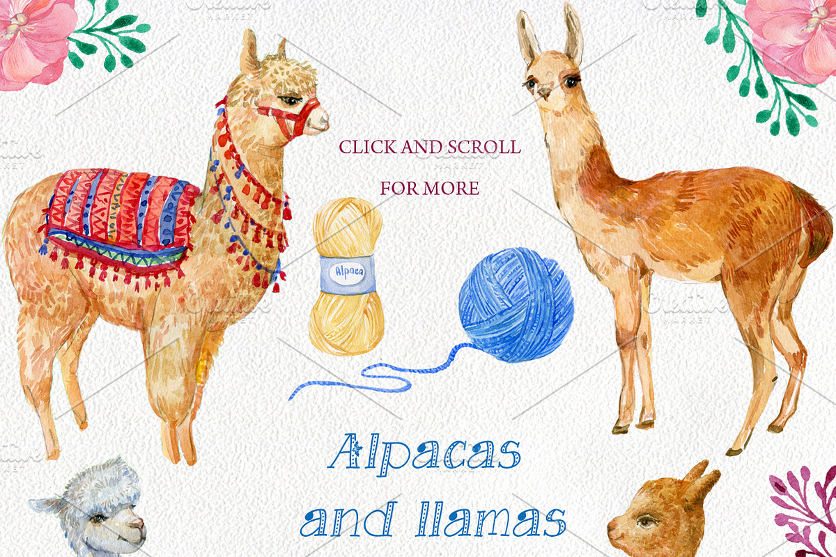 Alpacas and llamas .watercolor, an Animal Illustration by MitrushovaArt (Photo 3 of 7)