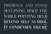 GC Pregio - Clean Serif Typeface, a Serif Font by Glyphonic (Thumbnail 12 of 15)