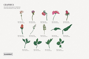 Maia Botanical Pattern And Graphics