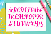 Liliana, a Script Font by Great Lakes Lettering (Thumbnail 3 of 4)