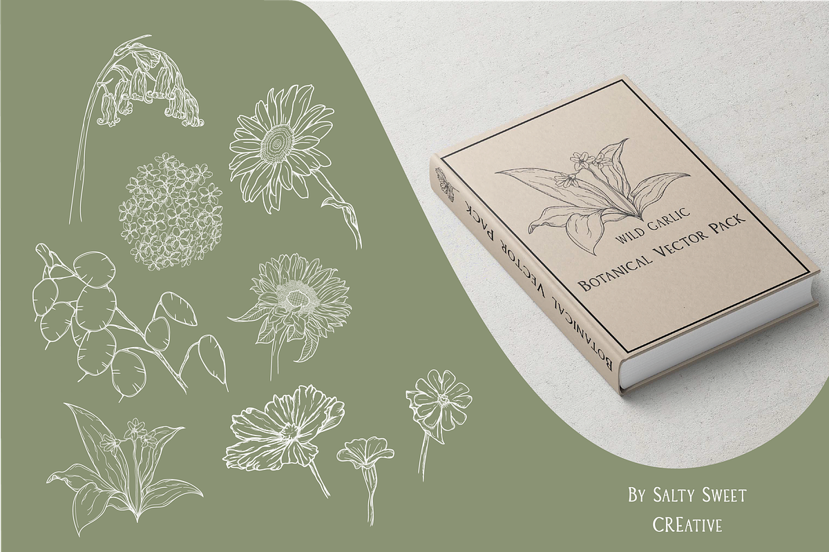 17 Botanical Vector Illustrations, an Illustration by Salty Sweet Creative (Photo 3 of 3)