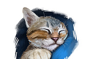 Cats and Kittens, 160 png breeds, an Animal Illustration by Dneprstock (Thumbnail 3 of 11)