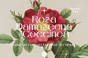 AMORIA Font Display Sans Serif, a Sans Serif Font by Guna Studio (Thumbnail 3 of 12)