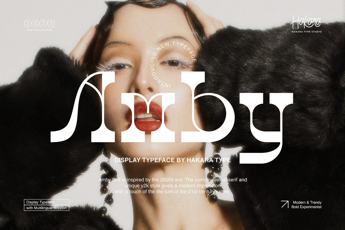 Amby - Display Typeface, a Sans Serif Font by Hakara Type (Photo 1 of 11)
