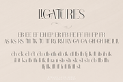 Stolen Love - Elegant serif typeface, a Serif Font by VP Fonts (Thumbnail 22 of 34)