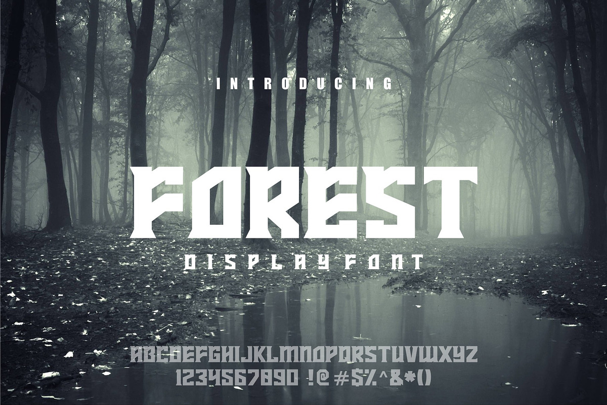 FOREST preview 2