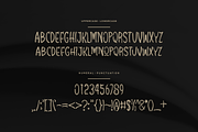 Thewoxs Font, a Handwritten Font by albert_kalingga (Thumbnail 3 of 5)