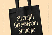 Garugis Modern Display Serif, a Serif Font by timelesstype.co (Thumbnail 11 of 20)