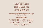 mariana modern & stylish serif font, a Serif Font by Storytype Studio (Thumbnail 13 of 15)