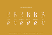 Fifty Fifty Complete Family, a Serif Font by Up Up Creative (Thumbnail 4 of 15)