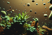 52 Fictional Microscopic Organisms, an Abstract Photo by h.utomo (Thumbnail 6 of 52)