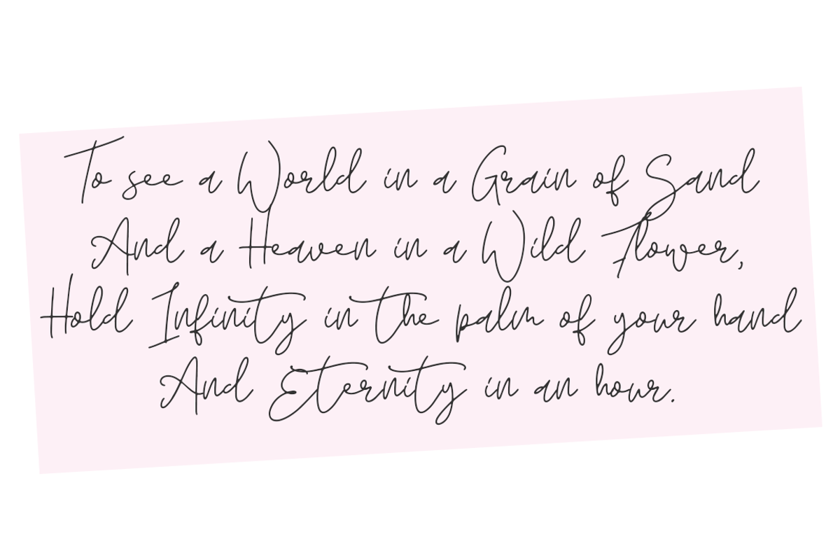 DesertStrike, a Script Font by Besttypeco (Photo 4 of 5)