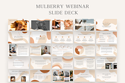 Mulberry Webinar Slide Deck, a Presentation Template by Ralony (Thumbnail 15 of 15)