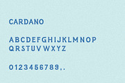 Cardano I A Serif Font, a Serif Font by Taylor Penton (Thumbnail 3 of 3)