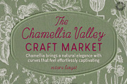 Chamellia Valley - Handmade Script, a Handwritten Font by Setara Langit CreativeStd (Thumbnail 1 of 10)