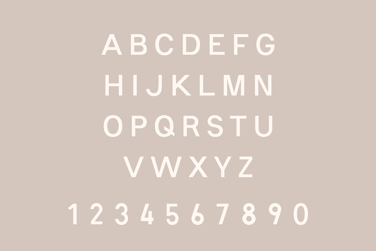 Grenache - Modern Sans preview 6