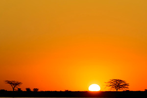 African Sunset, a Nature Photo by THP Creative