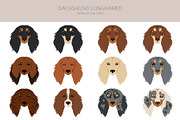 Dachshund longhaired clipart, an Animal Illustration by pet design shop (Thumbnail 5 of 10)
