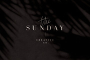 Coral Blush Font Duo, a Serif Font by Sam Parrett (Thumbnail 7 of 10)