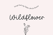 Wildflower Script Font, a Script Font by Sofia Skoog (Thumbnail 1 of 11)