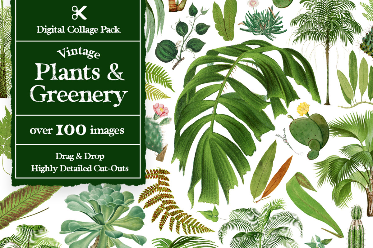 Vintage Collage Creator 1000+ Images, an Object Graphic by Collage Supply Co (Photo 10 of 21)