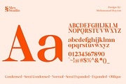 Thalore, a Serif Font by Slex Studio (Thumbnail 7 of 14)