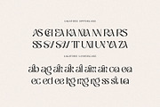 Ragnheidr Unique Serif, a Serif Font by Cruzine (Thumbnail 7 of 8)