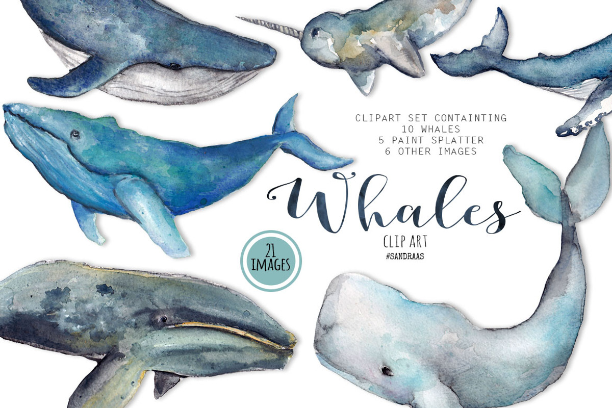 Whale clip art watercolor, an Illustration by SandraGraphicDesign