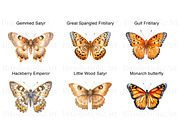 Watercolor Butterfly Species Clipart, an Animal Illustration by BrushstrokeArtGB (Thumbnail 4 of 9)