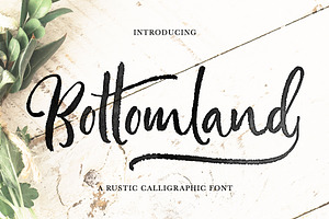 Bottomland • Ink Script, a Script Font by Evelyn Richards