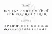 Rossile Serif Font, a Serif Font by Ermedia Studio (Thumbnail 10 of 11)