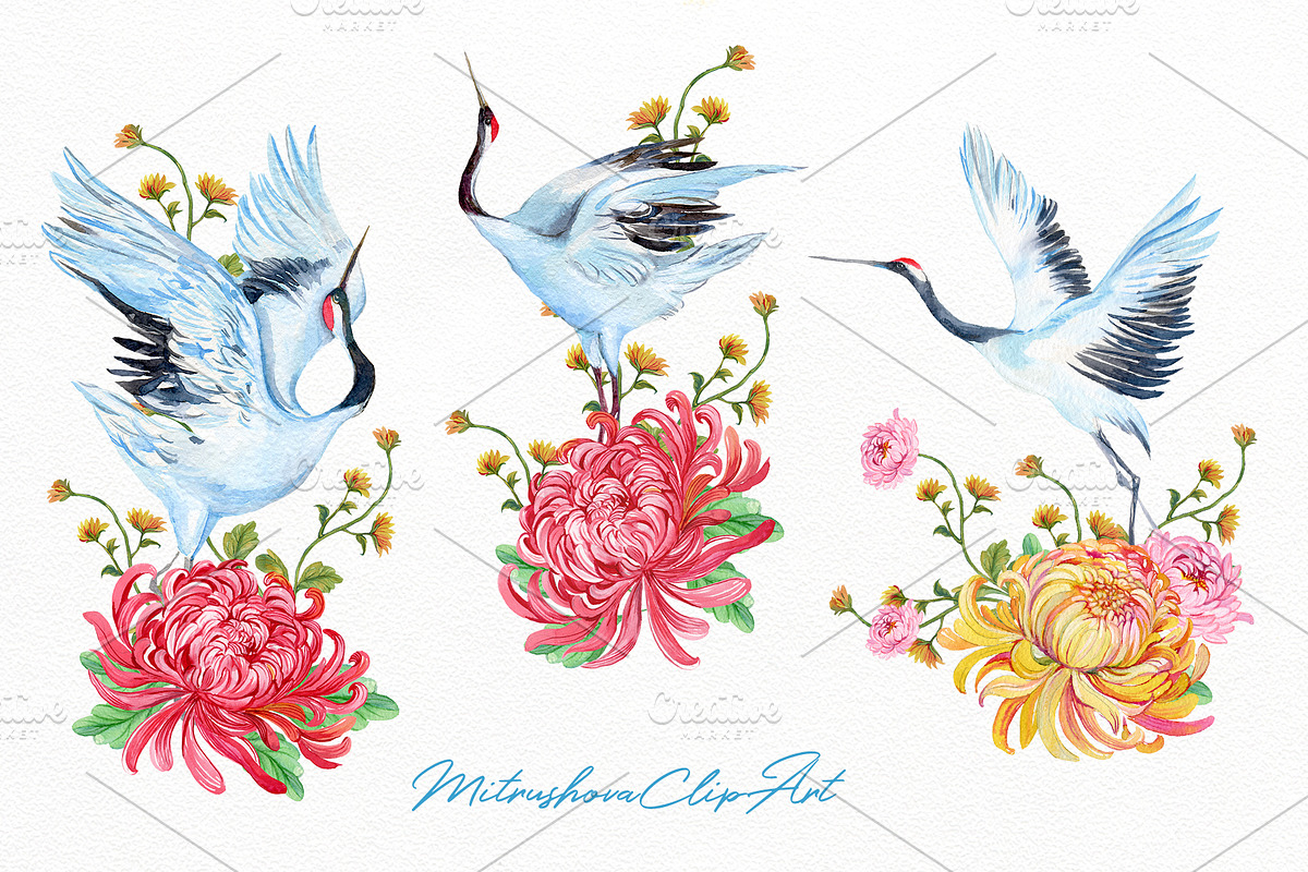 Cranes watercolor clipart, a Decorative Illustration by MitrushovaArt (Photo 3 of 7)