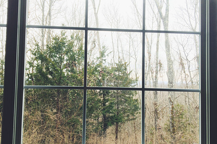 Window in Woods