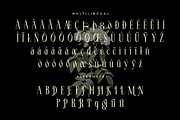 LT Serif - Modern Serif Font, a Serif Font by limitype (Thumbnail 8 of 9)