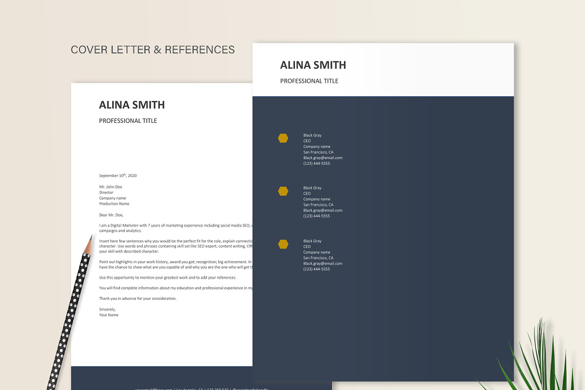Digital Marketing Resume Template, a Resume Template by Stanin Studio (Photo 4 of 10)