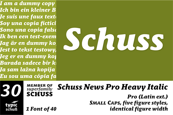 SchussNewsProHeavyIta No.30 (1 Font) preview 6