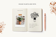 House Plants and Pots Collection, an Illustration by imajineko (Thumbnail 5 of 9)
