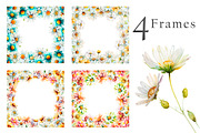 Watercolor Daisies Flowers Clipart, an Object Illustration by Evgeniia (Thumbnail 5 of 8)