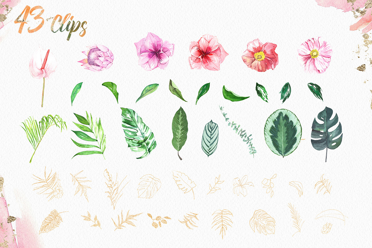 Tropical Watercolor Alphabet Letter, a Decorative Illustration by Cacacolors Clipart (Photo 3 of 6)