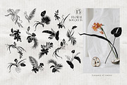 EXOTIC Graphics and animated stories, an Animal Illustration by Anastezia Luneva (Thumbnail 8 of 11)