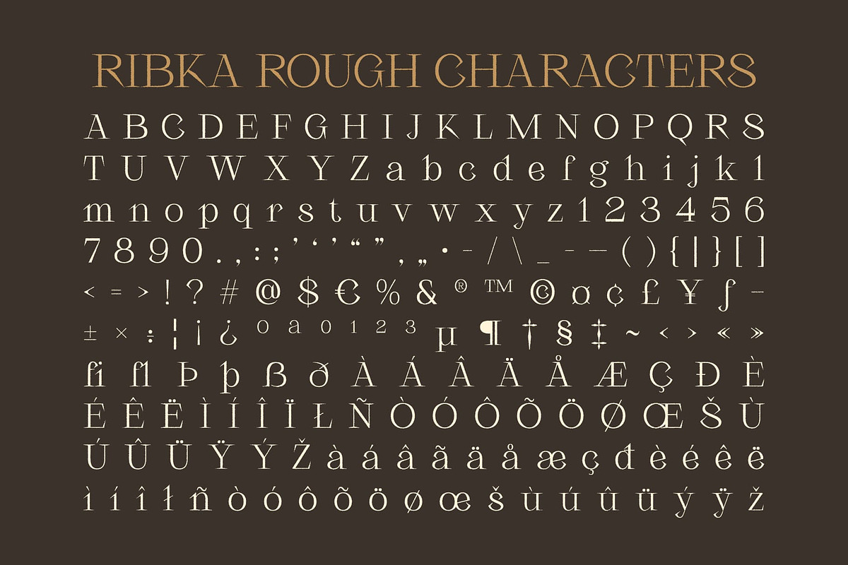 Ribka Rough, a Serif Font by Craft Supply Co. (Photo 8 of 8)