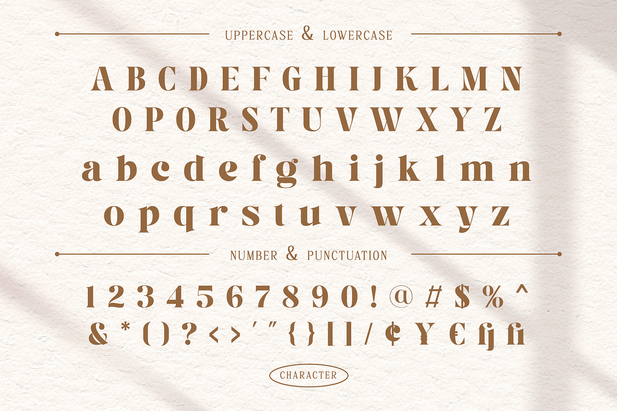 Versyla - Classic & Modern Serif, a Serif Font by Almeera Std (Photo 4 of 6)