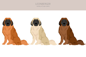 Leonberger Clipart