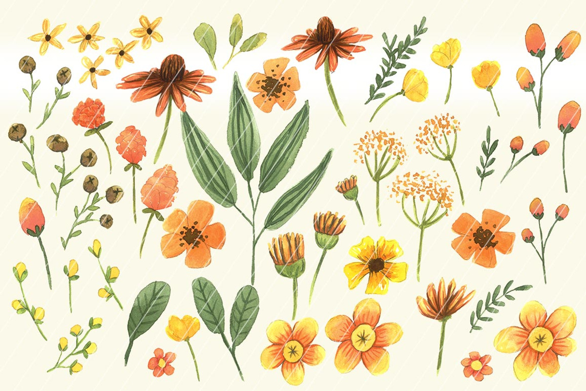 Watercolor Flower in orange set 1, a Decorative Illustration by Bianca Stanton (Photo 2 of 2)