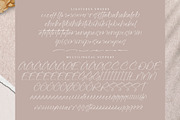 Rusttesa Freshlis, a Handwritten Font by operatype.co (Thumbnail 14 of 15)